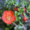 새봄농장(2) 이미지