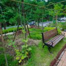 명성노인전문요양원 | 거동 힘드신 부모님 위힌 울산 북구 요양원 추천 울산명성노인전문요양원 울산 최고의 요양원