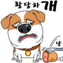 더 편하개 이미지