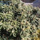 회원동북로 이미지