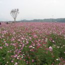 배다리박물관 이미지