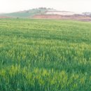 산너머남촌에는 이미지