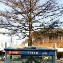 안골세천 티스토리