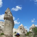 화이트벨리 이미지