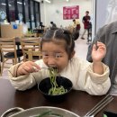 홍굴부추칼국수 | 오송역 맛집 아이도 잘먹는 홍굴부추손칼국수 방문 후기