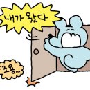 럭키라이스 이미지