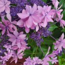 목포산업 이미지