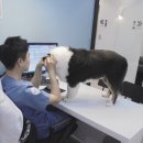 네오메디컬동물병원 이미지