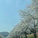 향적산 한상 이미지