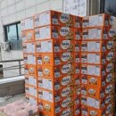 가족_앞_CCTV 이미지