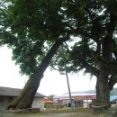 은석경로당 이미지