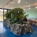 모모의바다 이미지