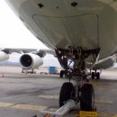 330장금이 이미지