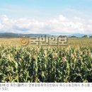 광동농장 이미지