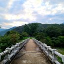 수곡용계로(길안면) 이미지