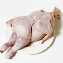 서울닭도매유통 네이버블로그