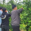 농업기술센터앞 이미지