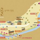 용골송어와캠핑 이미지