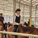 충무승마장 이미지