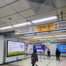 서울안경 | [서울/강동] 베스트안경 방문 후기_예쁜 안경이 많고 친절한 안경사가 있는 안경점 추천