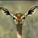 주주총회노래연습장 이미지