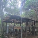 천보체육회 이미지