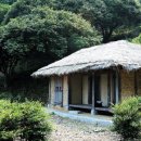 남해-115 Daum카페