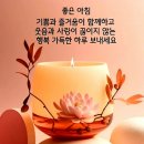 [정보] 의사 없이도 건강하게 사는 방법 이미지