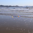 선도전설