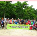 고양아씨