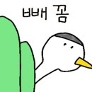 제일커스텀