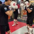 타이혼스포츠아카데미 이미지