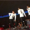 오리궁뎅이 이미지