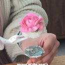 묘묘네케이크스튜디오