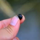 순정농장 이미지