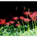 김영만농장 이미지