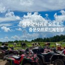 시흥승마힐링체험장 | 제주도 ATV 버기카 서귀포 놀거리 추천 중문오프로드체험장 후기