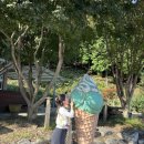 농부와바다 이미지