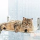 (주)대운코리아 이미지