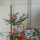 꽃잠 하우젠 이미지