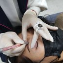 아이리스 아카데미 이미지