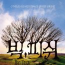 빅피쉬컴퍼니