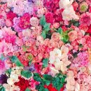 정산부인과의원 이미지