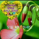 관*이* 이미지