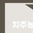 서울원플란트치과의원 이미지