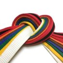 단 태권도 이미지