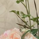 보람신경외과의원 이미지