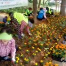 구월4동-3 이미지