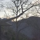 금산송어회집 이미지