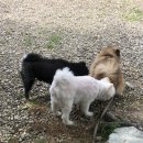 포메민박 이미지